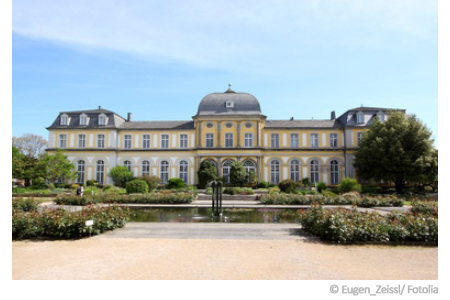 bonn-schimmelpilz