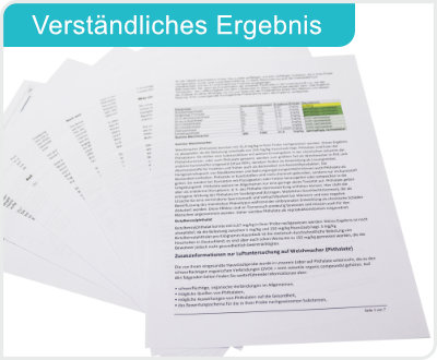 So sieht das Ergebnis Ihrer Analyse auf Weichmacher aus!
