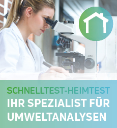 Schimmelpilz-Analysen: Ist Ihr Zuhause schimmelfrei?