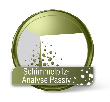 Schimmelpilz-Analyse Raumluft