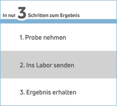 Ihre Asbestanalyse in 3 Schritten