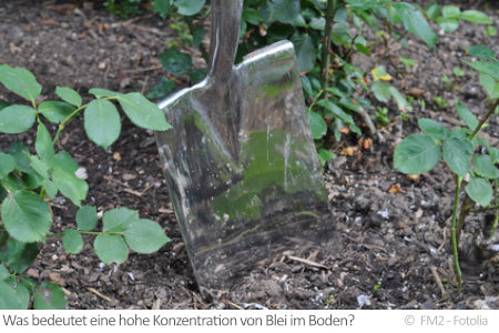 Blei im Boden kann sich schädlich auf Pflanzen und Menschen auswirken. Ein geringes Vorkommen ist jedoch völlig natürlich.