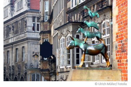 bremen-schimmelpilz