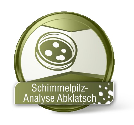 Schimmelpilz-Analyse Abklatsch