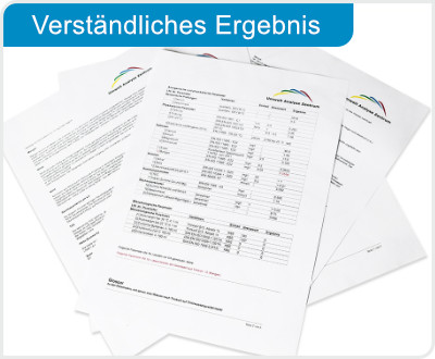 So sieht unser Analyseergebnis für Sie aus!