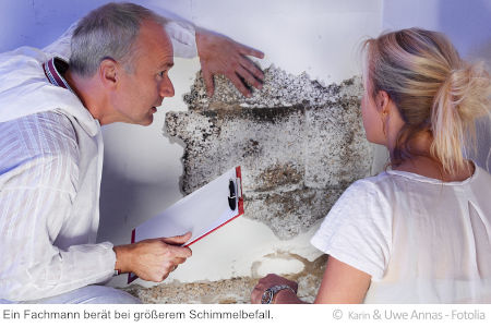 Ein Experte kann bei großflächigem Schimmelbefall beraten.